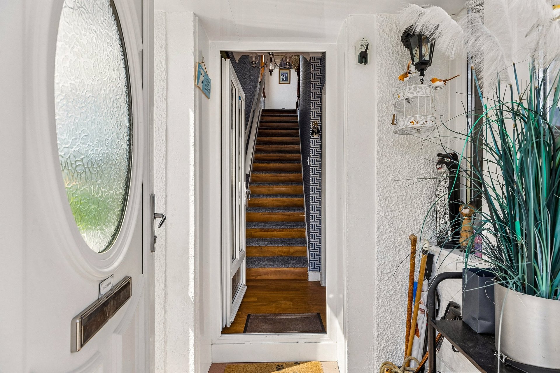 41 The Oval, Clarkston, Glasgow, G76 8LT - Picture #3