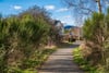 23 Kilburn Wood Gardens, Roslin, Midlothian, EH25 9AB - Picture #29