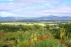 Mains Of Arnprior, Arnprior, Stirling, FK8 3HA - Picture #19