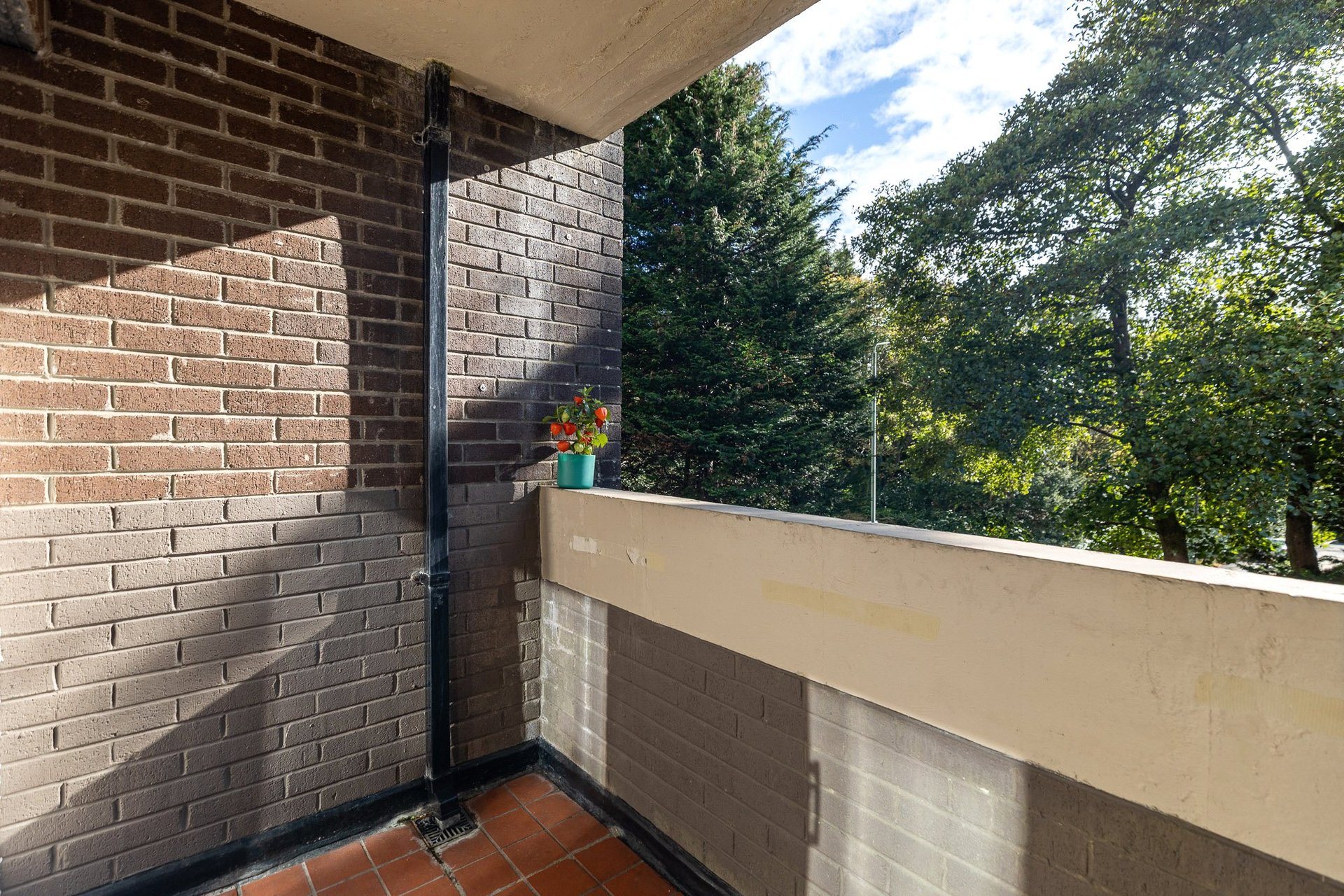 1A Roman Court, Bearsden, G61 2NW - Picture #5
