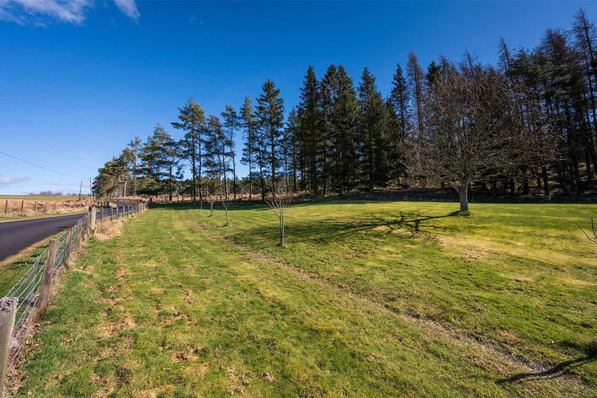 Bridgend Of Pearsie, Kirriemuir, Angus, DD8 5EY - Picture #27