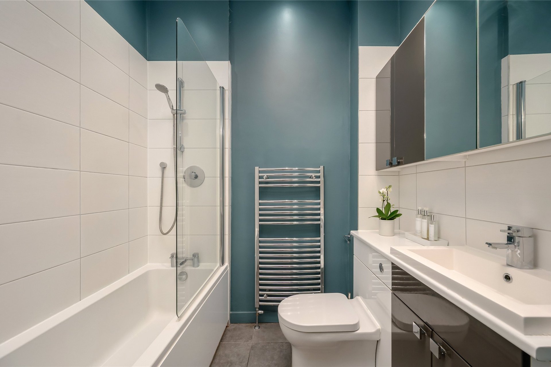 11 Belford Terrace, Edinburgh, EH4 3DQ - Picture #10