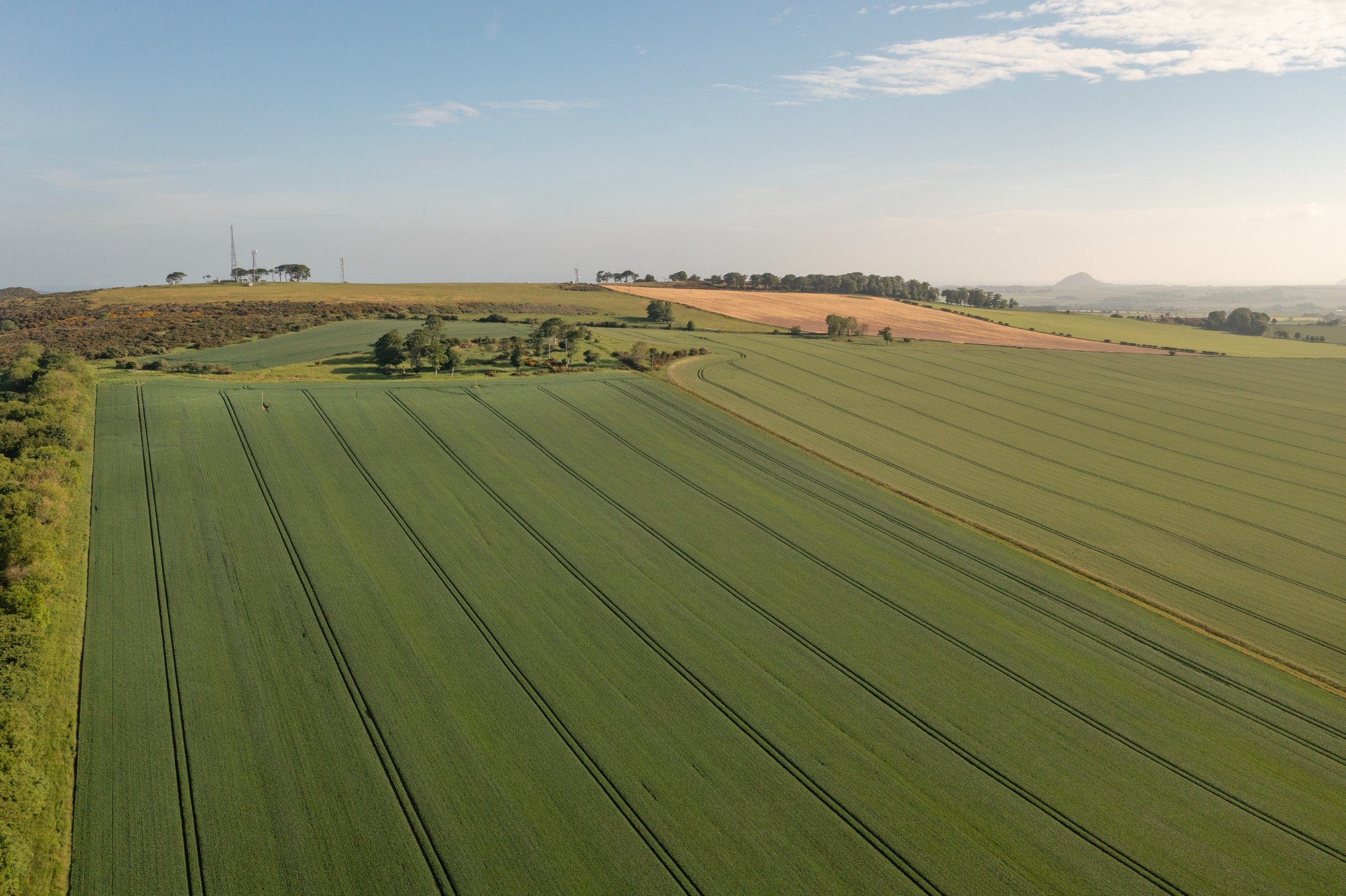 Amisfield Farm Fields with housing in the background