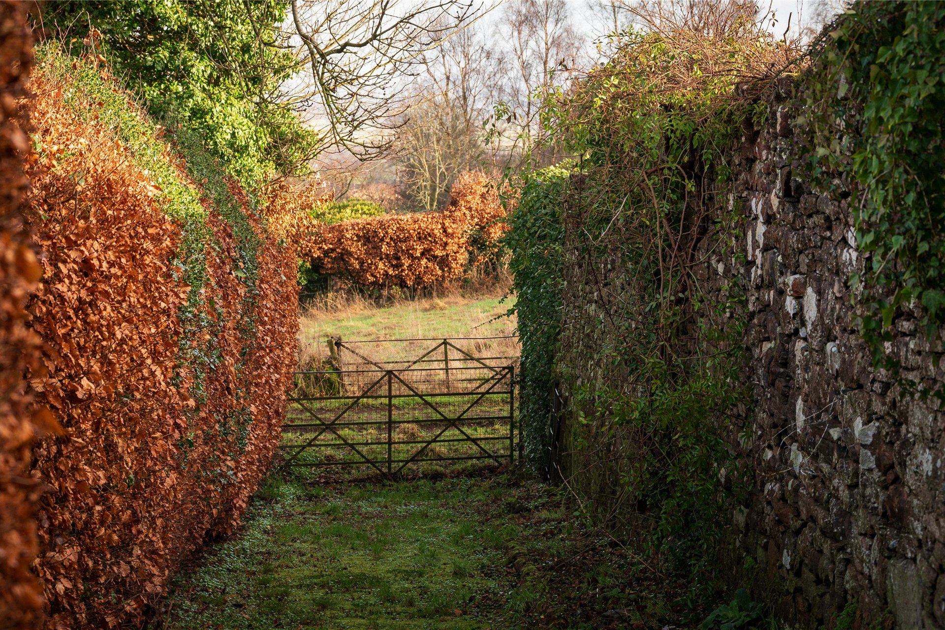 Helensfield, Fore Road, Kippen, Stirling, Stirlingshire, FK8 3DT - Picture #23