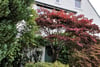 28 North Grange Road, Bearsden, Glasgow, G61 3AF - Picture #42