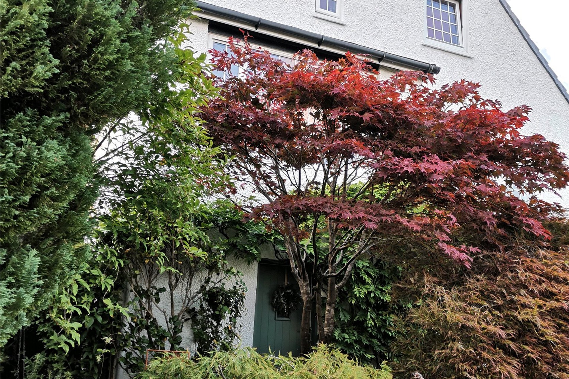 28 North Grange Road, Bearsden, Glasgow, G61 3AF - Picture #42