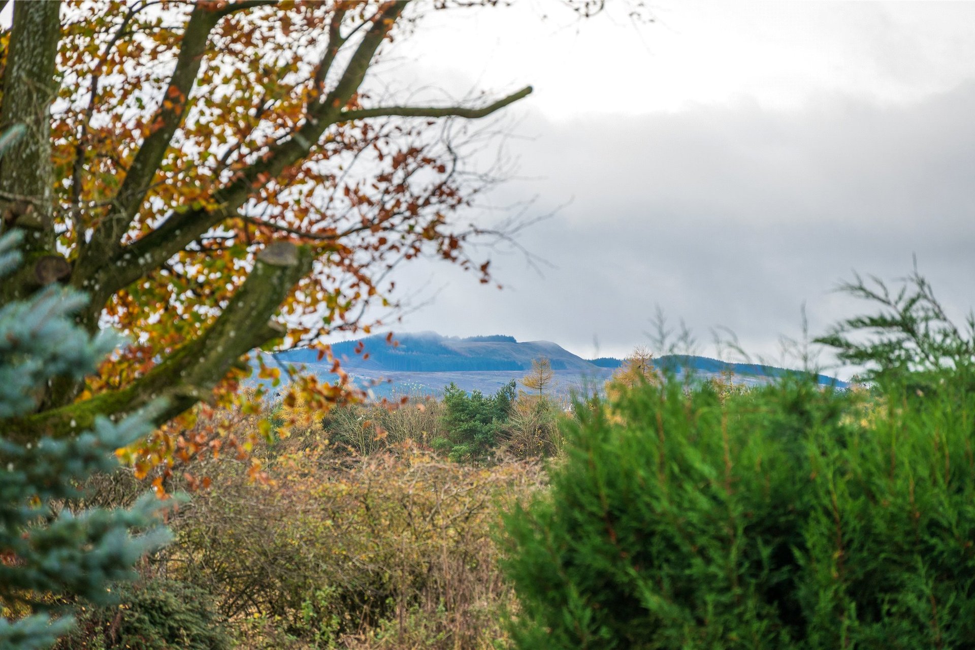 Turfhills Farm Cottage, Kinross, Perth and Kinross, KY13 0NQ - Picture #8