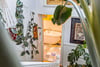 97 Earlbank Avenue, Scotstoun, Glasgow, G14 9DY - Picture #28