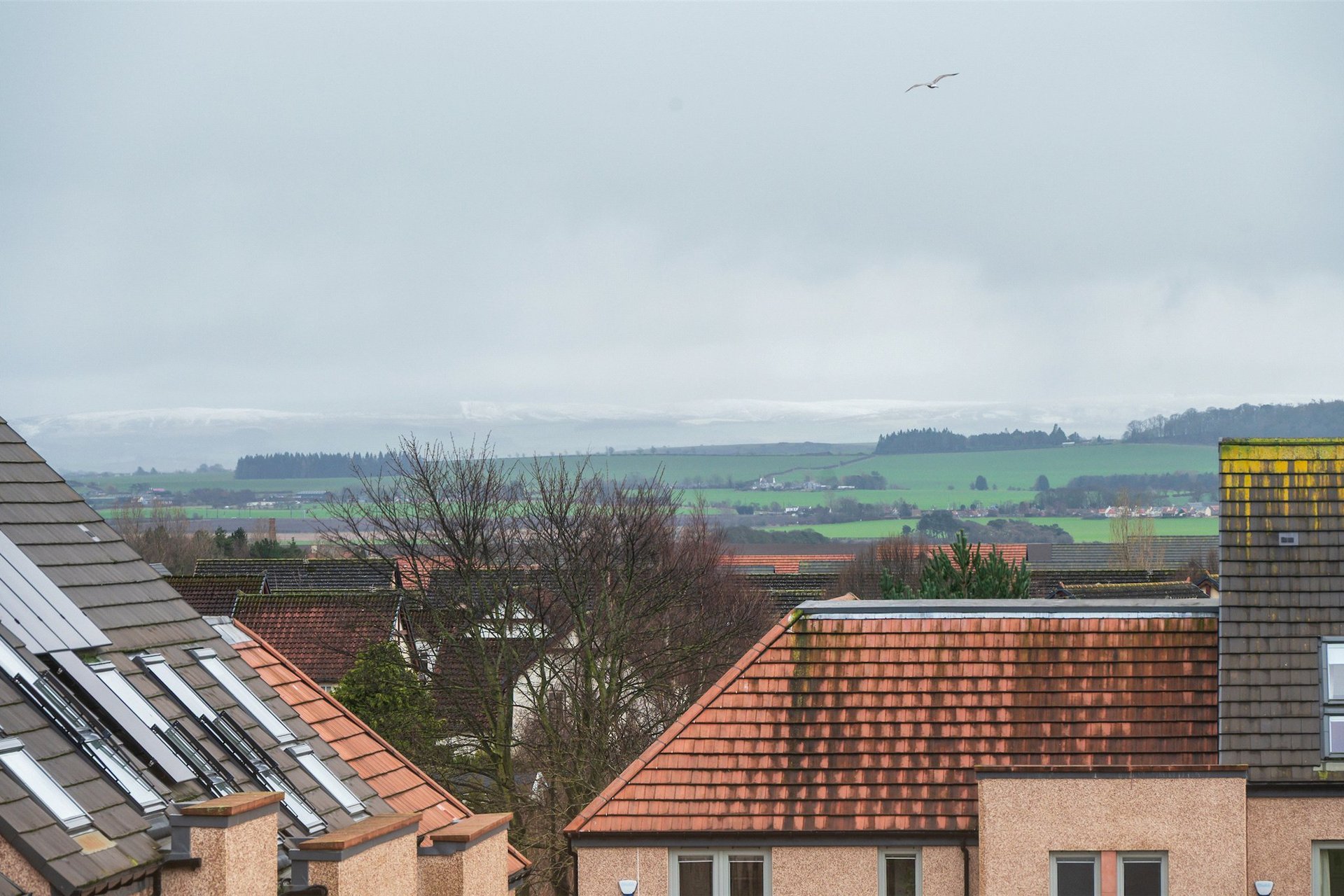 5 College Way, Gullane, East Lothian, EH31 2BY - Picture #17