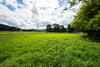 Building Plot Eshiels Holdings, Peebles, Scottish Borders, EH45 8NA - Picture #4