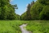 Frizzels Wood House, Spott, Dunbar, East Lothian, EH42 1RN - Picture #26