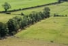 Grazing and Equestrian Facilities, The Bungalow, Baldastard, Leven, KY8 5PQ - Picture #11