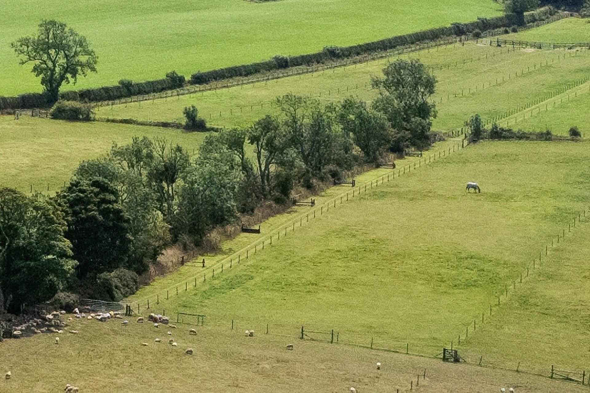 Grazing and Equestrian Facilities, The Bungalow, Baldastard, Leven, KY8 5PQ - Picture #11