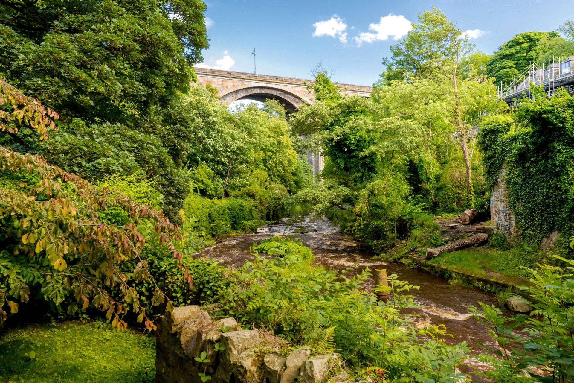 GF, 5 Belgrave Crescent, Edinburgh, EH4 3AQ - Picture #26
