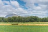 8 Carberry Close, Inveresk, East Lothian, EH21 8PP - Picture #3
