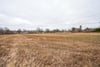 Bannatyne Field, Kirkton Road, Newtyle, Angus, PH12 8TS - Picture #4