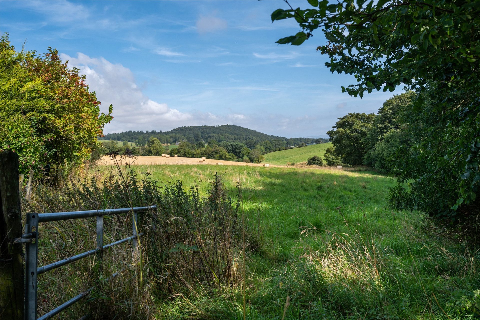 Cornrigs, Abernyte, Perth, Perth and Kinross, PH14 9RB - Picture #20