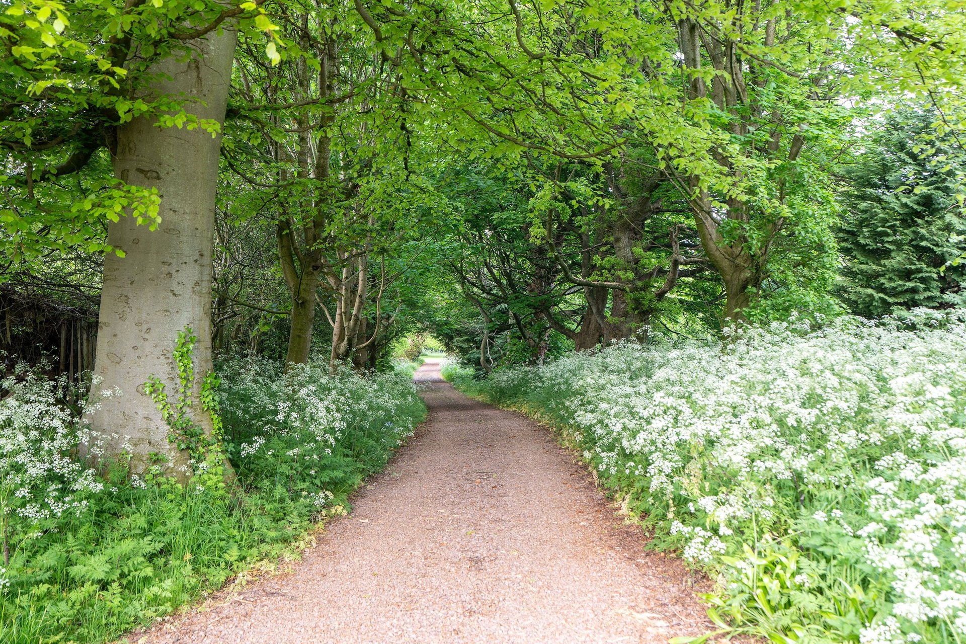 Walled Garden, Bowerhouse, Dunbar, East Lothian, EH42 1RE - Picture #28
