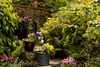 Forbes Gardens, 15/2 East Terrace, South Queensferry, Edinburgh, EH30 9HS - Picture #21