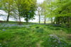 Walltower House, Howgate, Penicuik, Midlothian, EH26 8PY - Picture #30