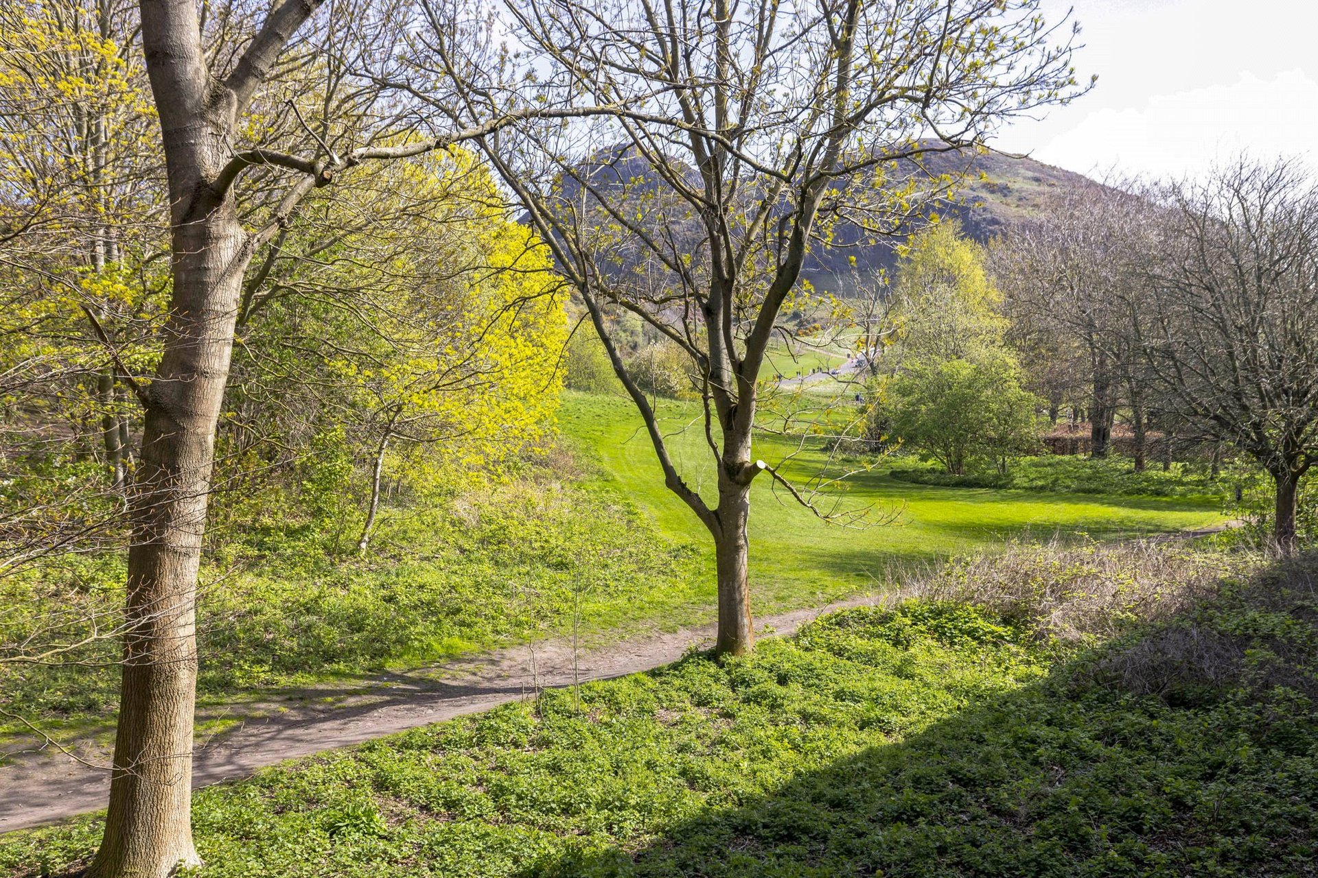 19/3 East Parkside, Edinburgh, EH16 5XN - Picture #14