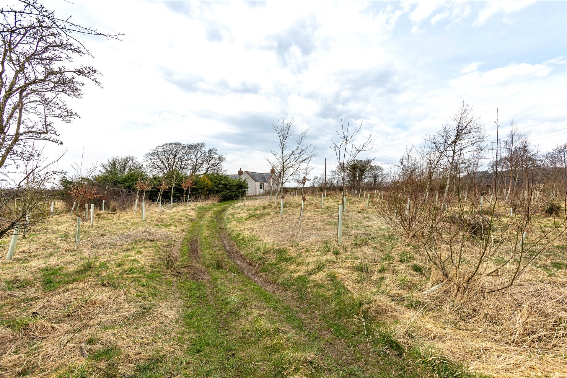 Greycraig Cottage, Kirtlebridge, Lockerbie, Dumfries and Galloway, DG11 3LN - Picture #18