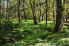 Glencreggan House, Glenbarr, Tarbert, Argyll, PA29 6UT - Picture #23