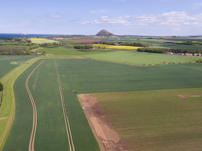 New Mains Farm arable fields with a view of Berwick Law.