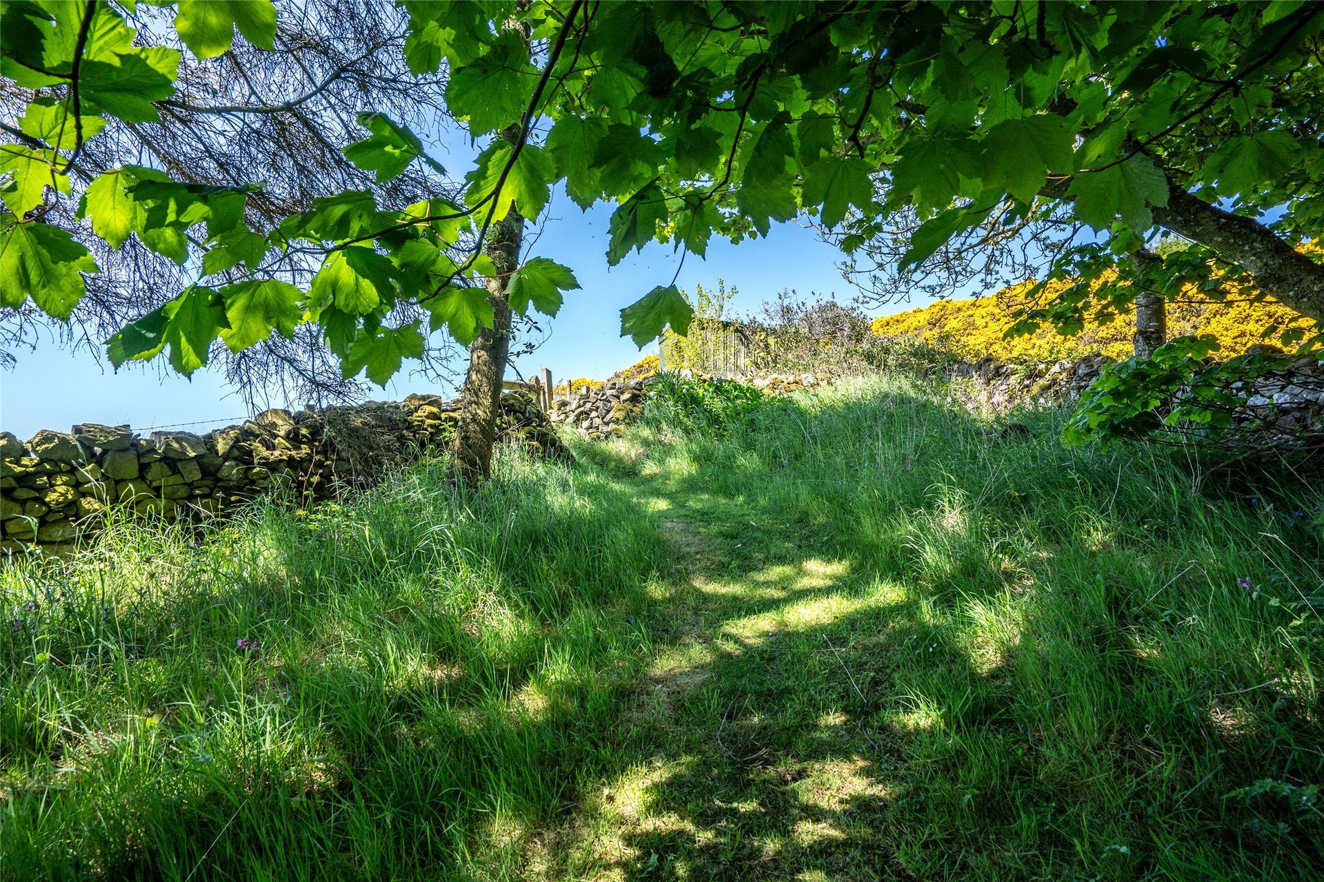 Brotherstone Cottage, Melrose, Scottish Borders, TD6 9DT - Picture #29