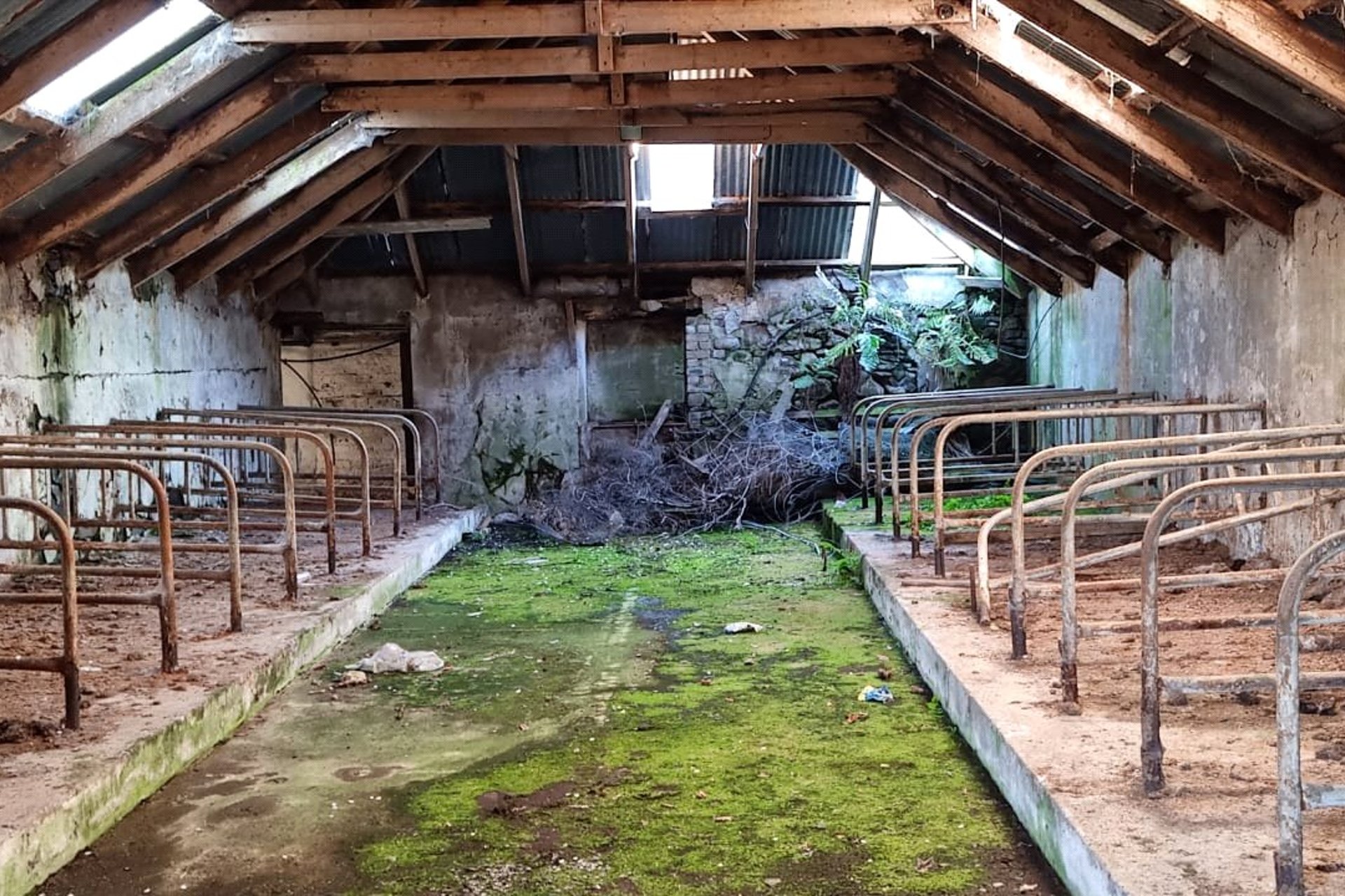 Ardonachie Farm, Bankfoot, Perth, Perth and Kinross, PH1 4DY - Picture #13