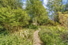 27A Greenhill Gardens, Greenhill, Edinburgh, EH10 4BL - Picture #17