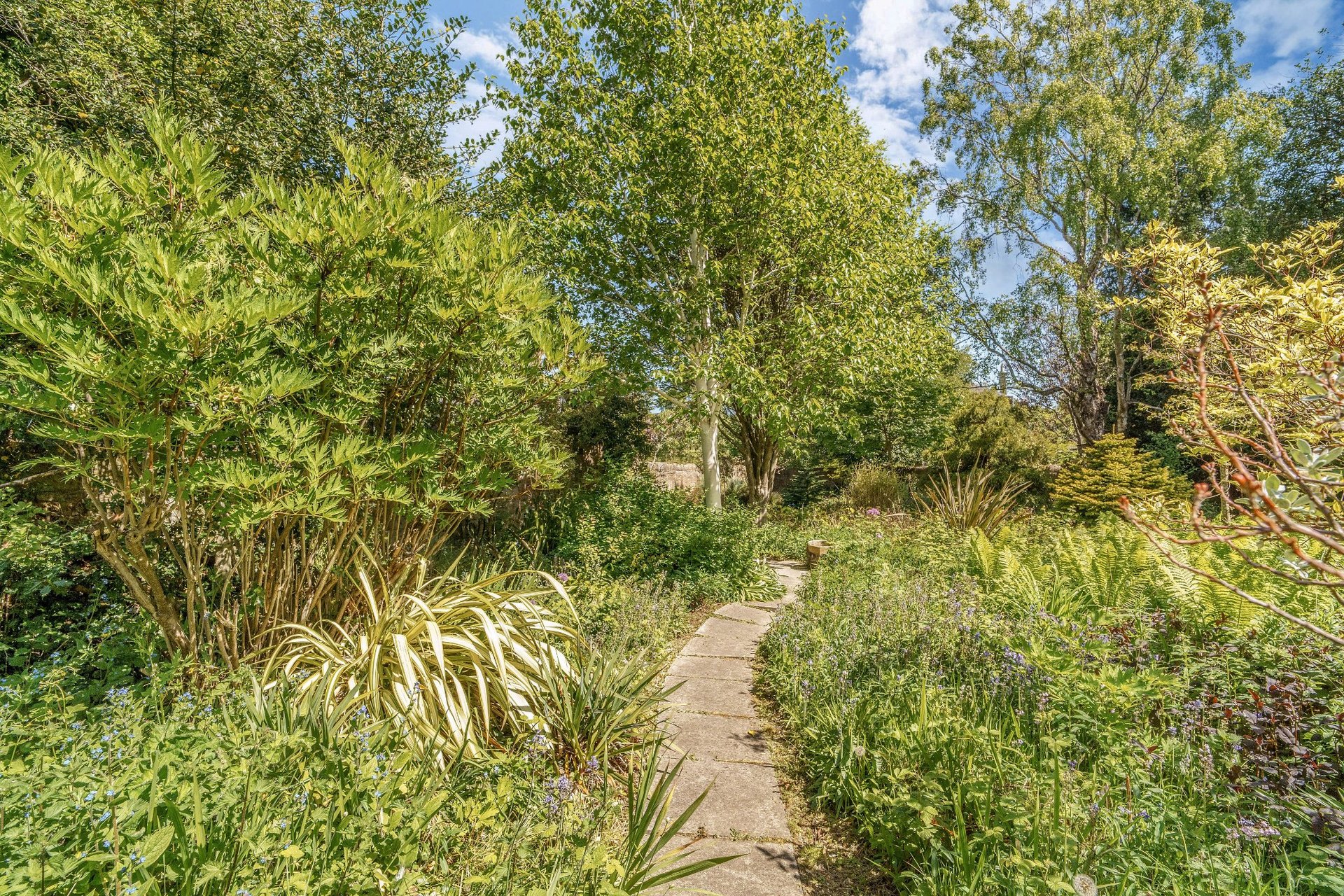 27A Greenhill Gardens, Greenhill, Edinburgh, EH10 4BL - Picture #17