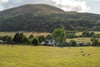 24 Damhead, Lothianburn, Edinburgh, Midlothian, EH10 7EA - Picture #42
