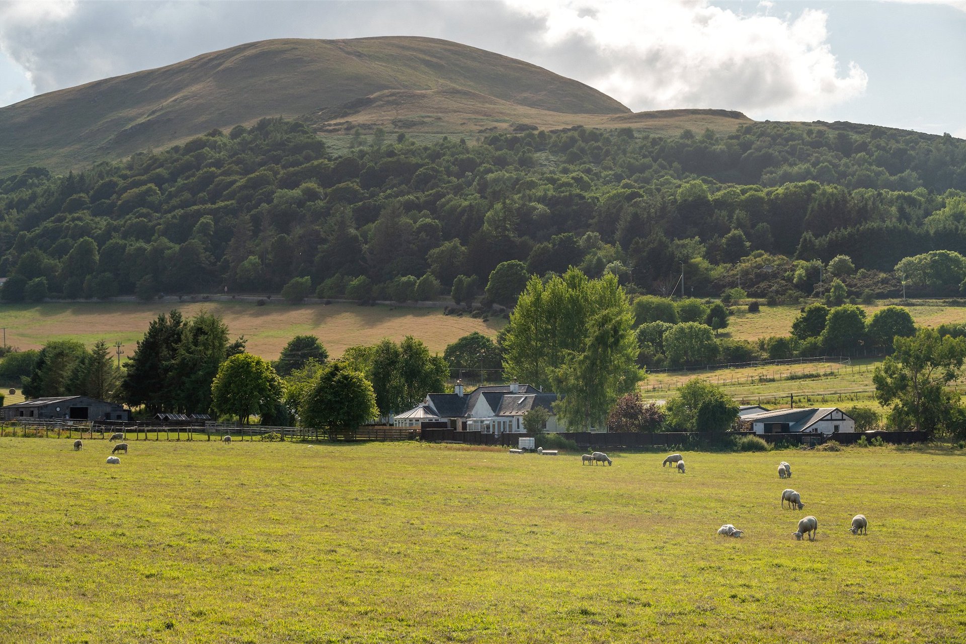 24 Damhead, Lothianburn, Edinburgh, Midlothian, EH10 7EA - Picture #42