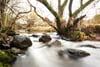 Tigh Na Allt, 4 Jackstone Steadings, Bankfoot, Perth, PH1 4FF - Picture #31