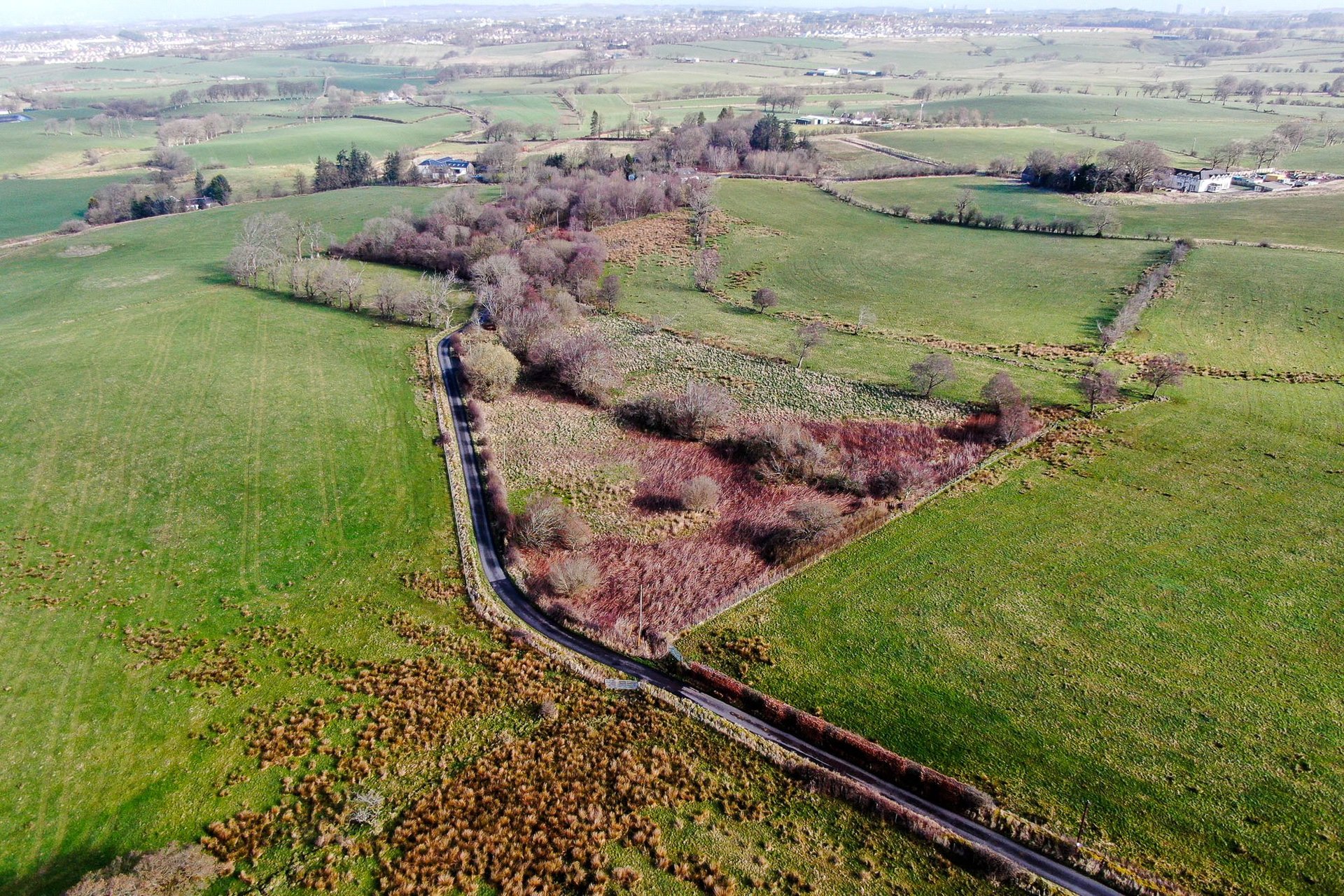 The Lands Of Westfieldhead, Auldhouse, East Kilbride, South Lanarkshire, G75 9DR - Picture #11