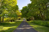 Stevenson House, Haddington, East Lothian, EH41 4PU - Picture #33