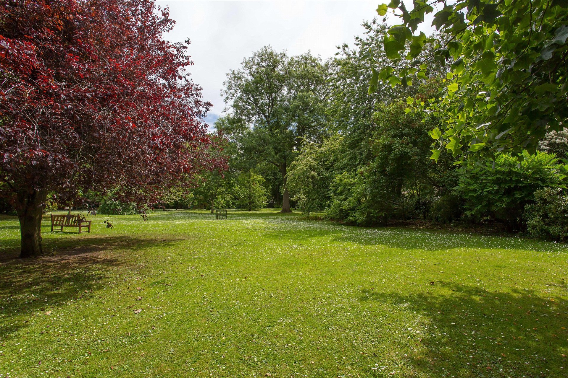 22a Drummond Place, Edinburgh, EH3 6PN - Picture #32