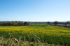 Stonesthrow, Paxton, Berwick Upon Tweed, Scottish Borders, TD15 1TE - Picture #17
