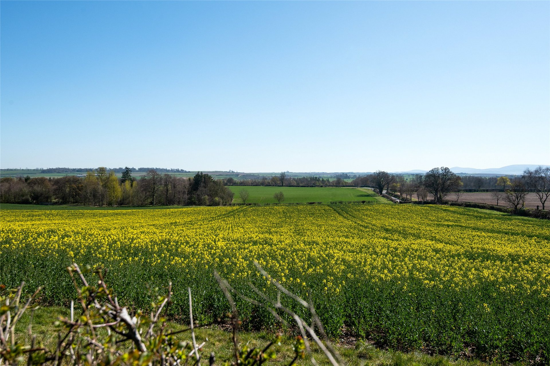 Stonesthrow, Paxton, Berwick Upon Tweed, Scottish Borders, TD15 1TE - Picture #17