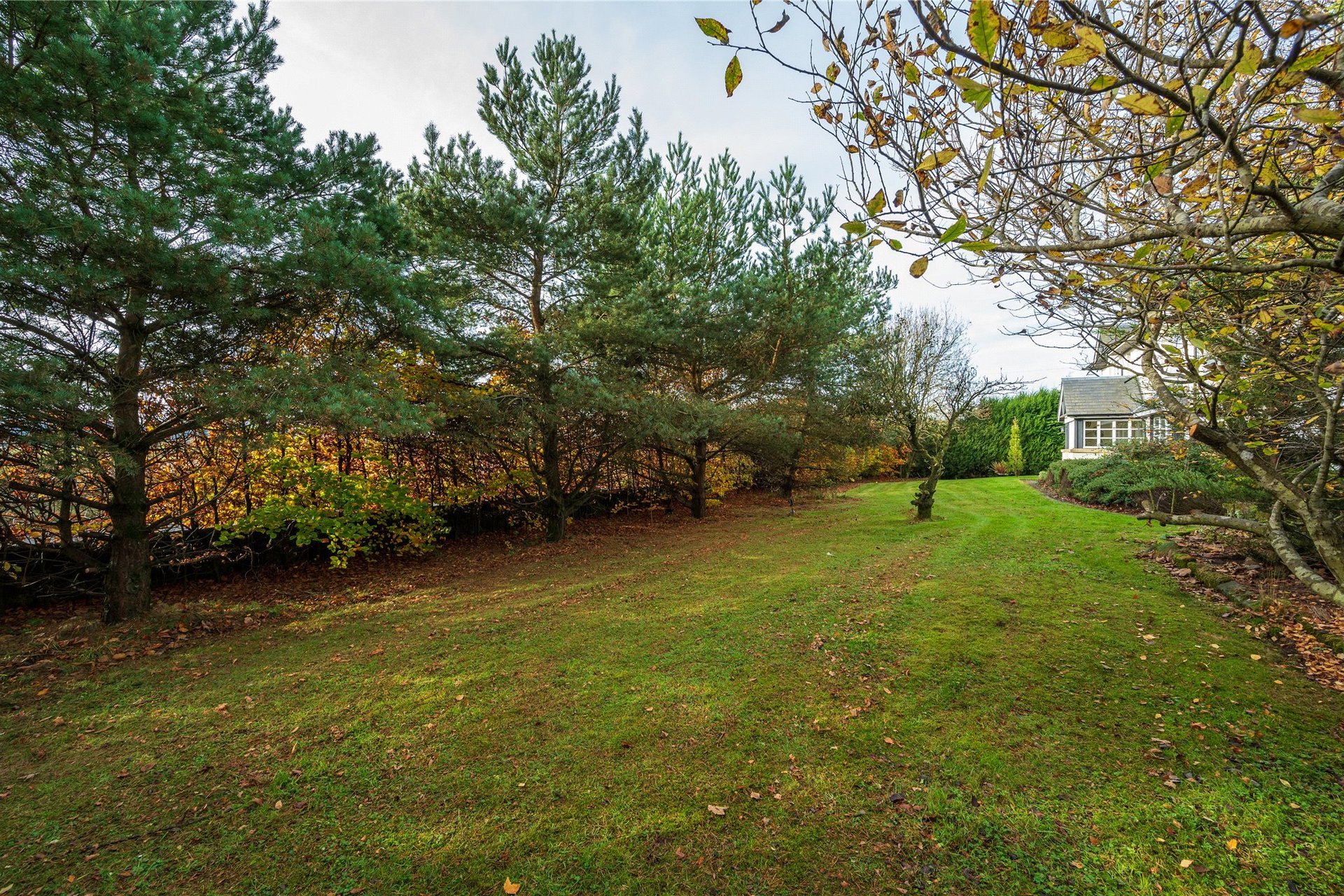 Turfhills Farm Cottage, Kinross, Perth and Kinross, KY13 0NQ - Picture #28