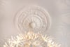 1/2, 13 Partickhill Road, Partickhill, Glasgow, G11 5BL - Picture #5