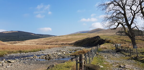 View of farmland with stream