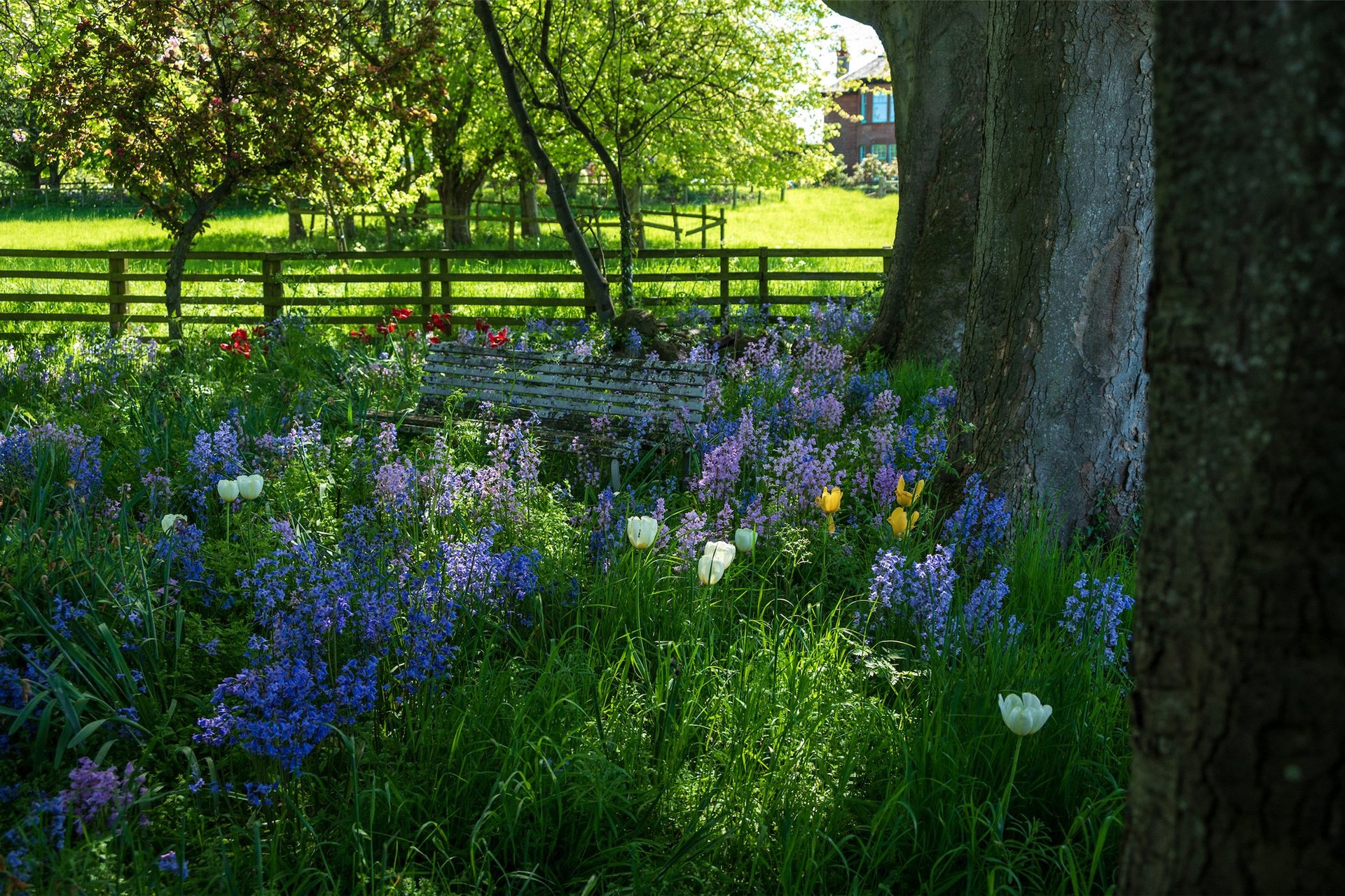 The Glebe House, 4 Law Road, North Berwick, East Lothian, EH39 4PL - Picture #34