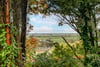 11 Whitehill Grove, Newton Mearns, Glasgow, East Renfrewshire, G77 5DH - Picture #25