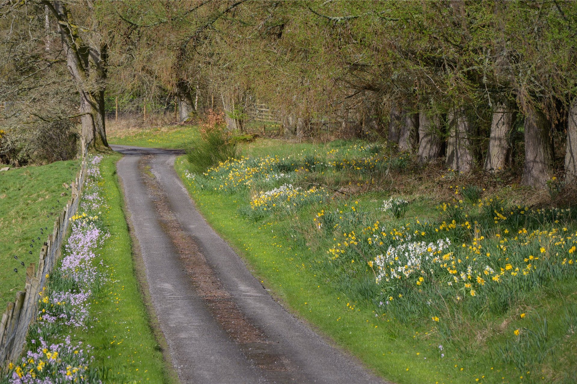 Eastertyre, Ballinluig, Pitlochry, PH9 0LN - Picture #35