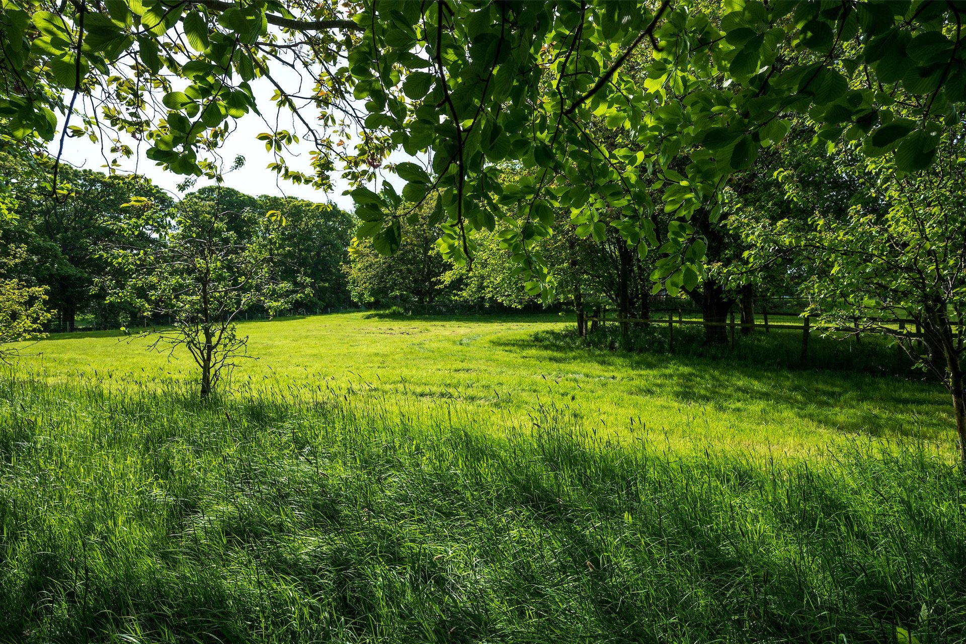 The Glebe House, 4 Law Road, North Berwick, East Lothian, EH39 4PL - Picture #39