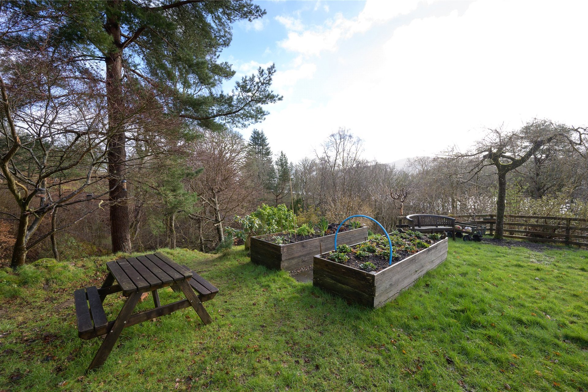Creagan Cottage, Killin, Perth and Kinross, FK21 8TX - Picture #20