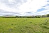 Birch Cottage, 3 Colmslie Farm Cottages, Galashiels, Scottish Borders, TD1 2PB - Picture #29