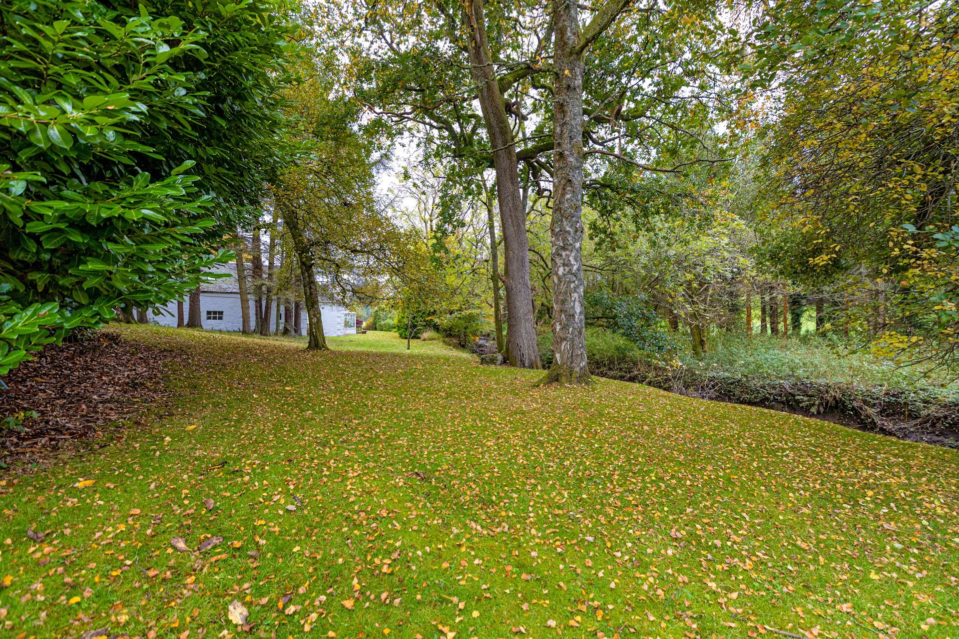 Barcapel Holm Farm, Newton Mearns, Glasgow, East Renfrewshire, G77 6NN - Picture #56